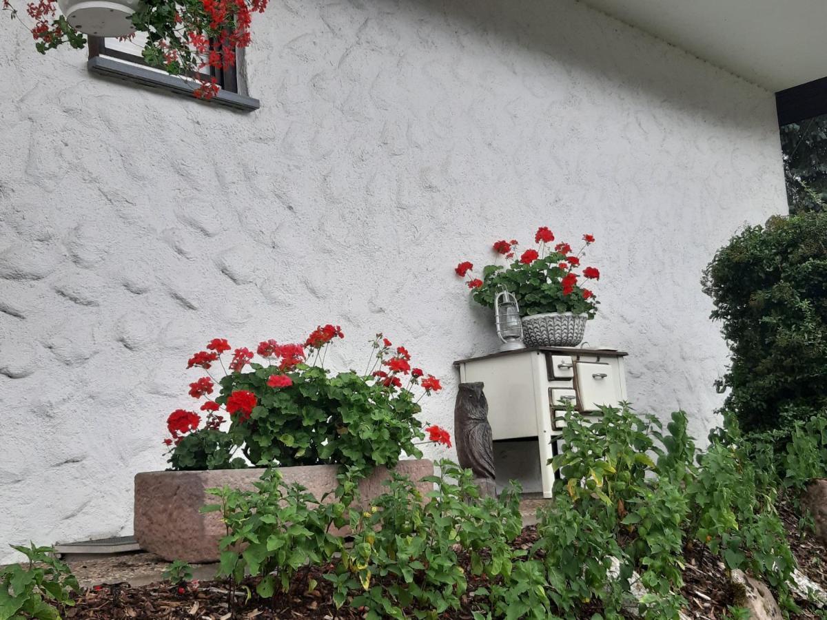 Ferienapartment Karle Nordrach Dış mekan fotoğraf